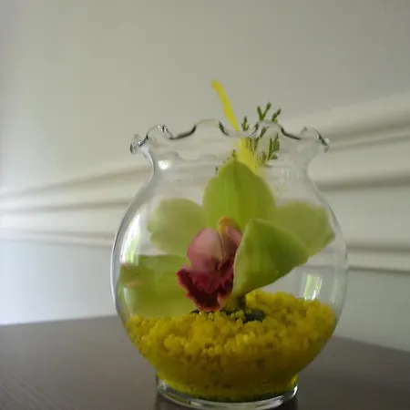 Orchidea Centrum